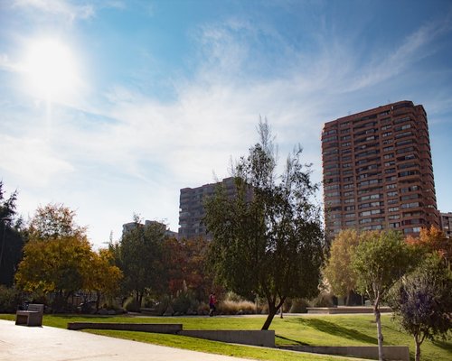 A peaceful outdoor urban park scene in Chile with soft green trees and natural light